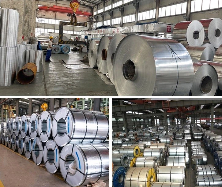 Steel Coil Galvanized Steel Metal Coil Steel Coil Galvanized Steel Metal Coil